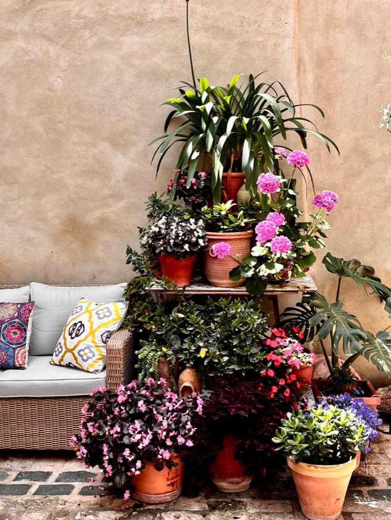 Oliva Courtyard Guesthouse Εξωτερικό φωτογραφία